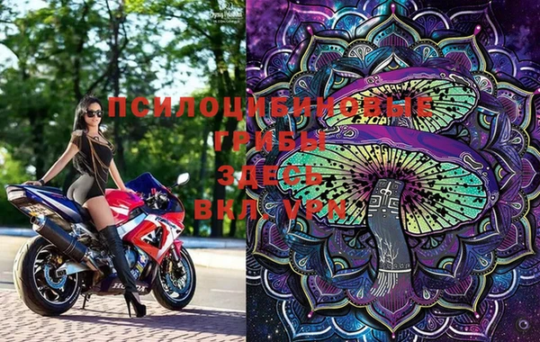 PSILOCYBIN Алексин
